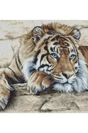 kit ricamo a punto croce - Tigre - Aida bianca - Thea Gouverneur Subito Disponibile