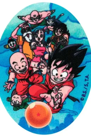 Patch Termoadesivo Goku e Amici Dragon Ball Vendita Finale