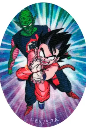 Saldi Toppa Termoadesiva- Goku e Piccolo Dragon Ball