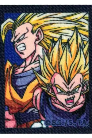 Nuovo Arrivo Toppa Termoadesiva- Goku e Vegeta Super Saiyan Volti Dragon Ball Z