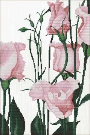 Nuova Collezione kit ricamo a punto croce - In rosa minore - Nova Sloboda