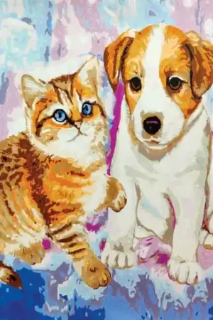 Pagamento Sicuro Kit di pittura per numero - Cane e gatto - Craft Buddy
