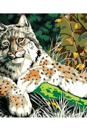 Soddisfatti O Rimborsati Canovaccio antico - Lince della foresta - Collection d'Art