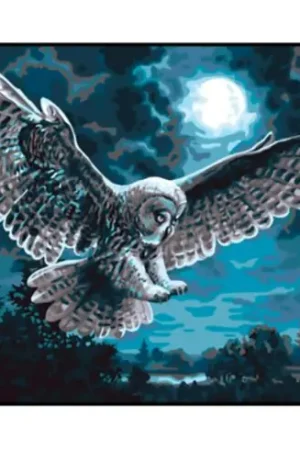 Vendita Finale Canovaccio antico - Volo notturno - Collection d'Art