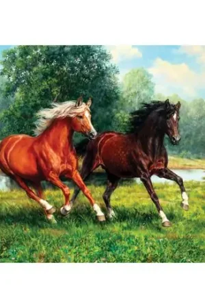 Kit ricamo diamante - Cavalli al galoppo - Collection d'Art Più Venduto