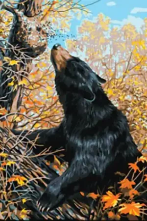 Ultima Occasione Canovaccio antico - Delicatezza della foresta - Collection d'Art