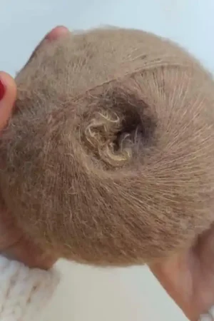 Casasol Luxe Nº 1 Sconto