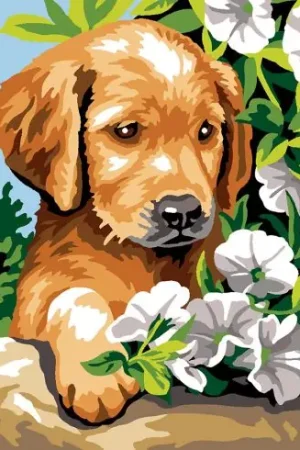 Nuovo Arrivo Canovaccio antico - Convolvoli - Margot de Paris