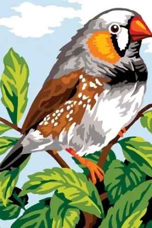 Acquista Ora Canovaccio antico - Diamante mandarino - Margot de Paris