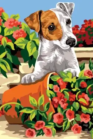 Compra Adesso Canovaccio antico - Foolishness - SEG de Paris