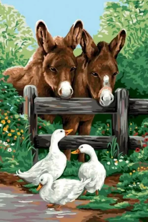 Canovaccio - Asini e Oche - Royal Paris Affare