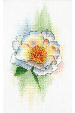 Subito Disponibile kit ricamo a punto croce - Peonia bianca - Aquarelle by MP Studia