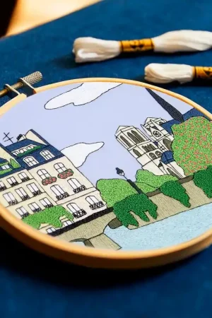 Occasione Imperdibile Kit per Ricamo - Parigi - DMC