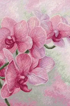 Offerta Del Giorno kit ricamo a punto croce - Orchidea graziosa - Luca-S