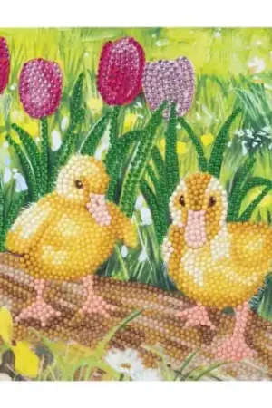 Offerta Carta con ricamo a diamante - Pulcini di primavera - Crystal Art D.I.Y