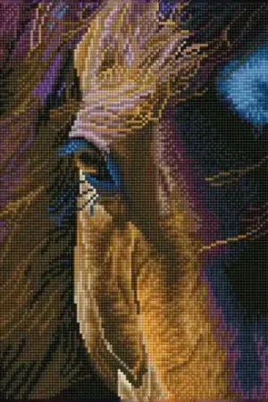 Kit ricamo diamante - Star - Diamond Dotz Bestseller