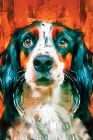 Kit ricamo diamante - Amico fedele - Wizardi Miglior Prezzo