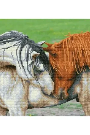 Quantità Limitata Kit ricamo diamante - Cavalli innamorati - Diamond Dotz