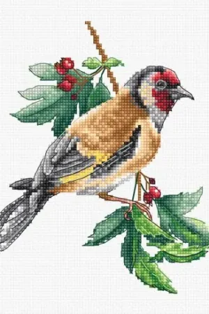 kit ricamo a punto croce - Cardellino - Luca-S Scelto Dai Clienti