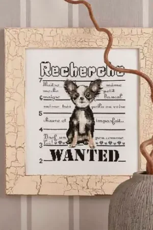 Foglio di punto croce - Voglio una Chihuaha - Isabelle Haccourt Vautier Professionale