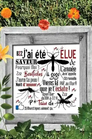 Occasione Imperdibile Foglio di punto croce - Gusto dell'anno - Isabelle Haccourt Vautier