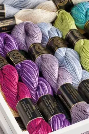 Filo per ricamo -  - DMC Offerta Limitata