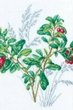 Occasione kit ricamo a punto croce - Mirtilli rossi - RTO