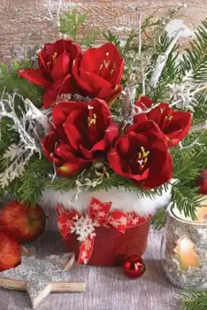 Kit ricamo diamante - Mazzo d'inverno - Collection d'Art Spedizione Gratuita