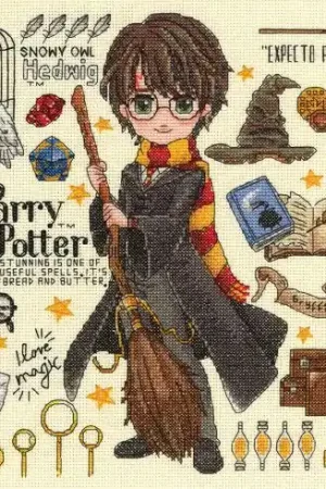 Spedizione Espresso kit ricamo a punto croce - harry potter - Dimensions