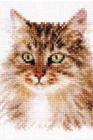 Spedito Oggi kit ricamo a punto croce - Gatto siberiano - Alisa