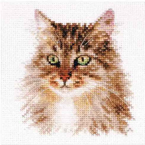 Spedito Oggi kit ricamo a punto croce - Gatto siberiano - Alisa