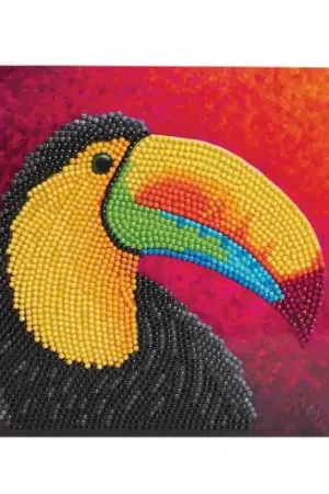 Solo Oggi Carta con ricamo a diamante - Tucano tropicale - Crystal Art D.I.Y