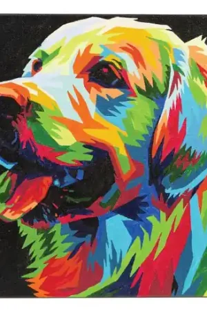 Kit di pittura per numero - Cane colorato - Craft Buddy Prezzo Di Fabbrica