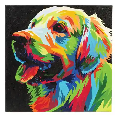 Kit di pittura per numero - Cane colorato - Craft Buddy Prezzo Di Fabbrica