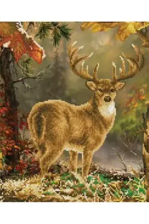 Kit ricamo diamante - Principe della foresta - Diamond Dotz Spedito Oggi