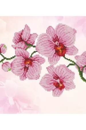 Kit ricamo diamante - Profumo di orchidea - Diamond Dotz Novità