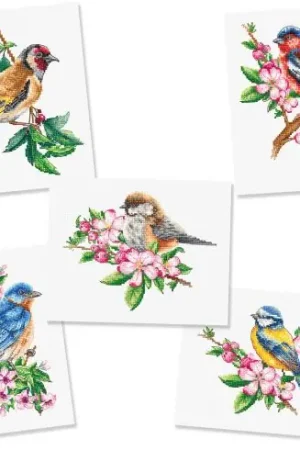 pacchetto creativo per il tempo libero - Set di uccelli da giardino - Luca-S Occasione