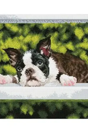 Kit ricamo diamante - Il blues dei cani - Diamond Dotz Solo Oggi