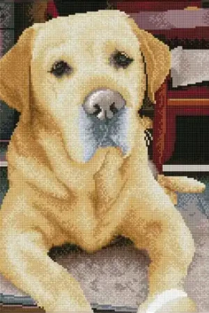 Super Prezzo Kit ricamo diamante - Ritratto di un labrador - Diamond Dotz