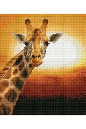 Solo Oggi Kit ricamo diamante - Tramonto in Kenya - Diamond Dotz