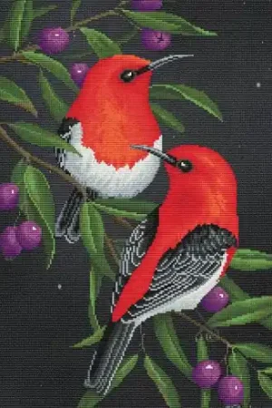 Promozione Esclusiva kit ricamo a punto croce - Tanager rosso - Nova Sloboda