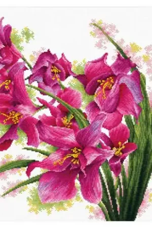 kit ricamo a punto croce - Bellissime orchidee - Ladybird Promo Stagionale