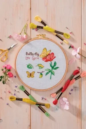 kit ricamo a punto croce - Ciclo di vita della farfalla - Anchor Nuovo Arrivo