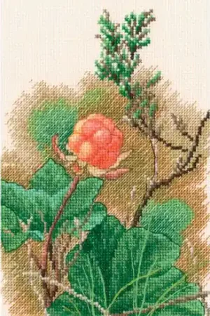 Economico kit ricamo a punto croce - Frutti di bosco - RTO