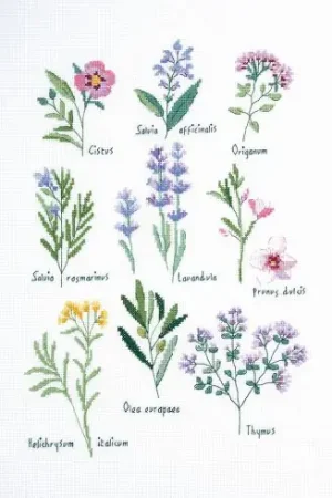 kit ricamo a punto croce - Erbario - DMC Promozione