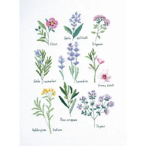 kit ricamo a punto croce - Erbario - DMC Promozione