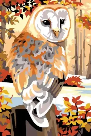 Canovaccio antico - La civetta - SEG de Paris Quantità Limitata