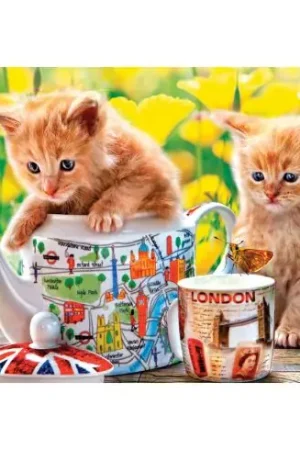 puzzle - Ora del tè - 500 pezzi - Castorland Economico