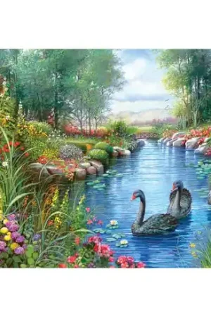 Promo Stagionale puzzle - Cigni neri - 1500 pezzi - Castorland