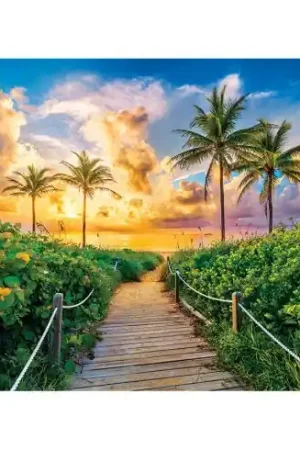 Must-Have puzzle - Alba di Miami - 3000 pezzi - Castorland